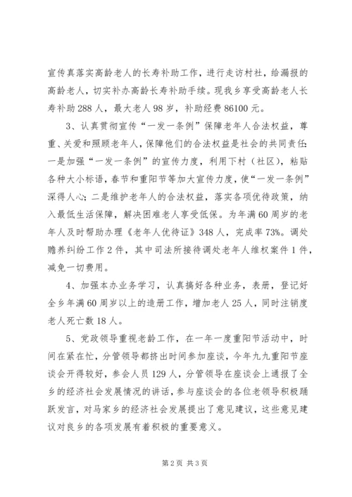 乡镇某年老龄办工作总结.docx