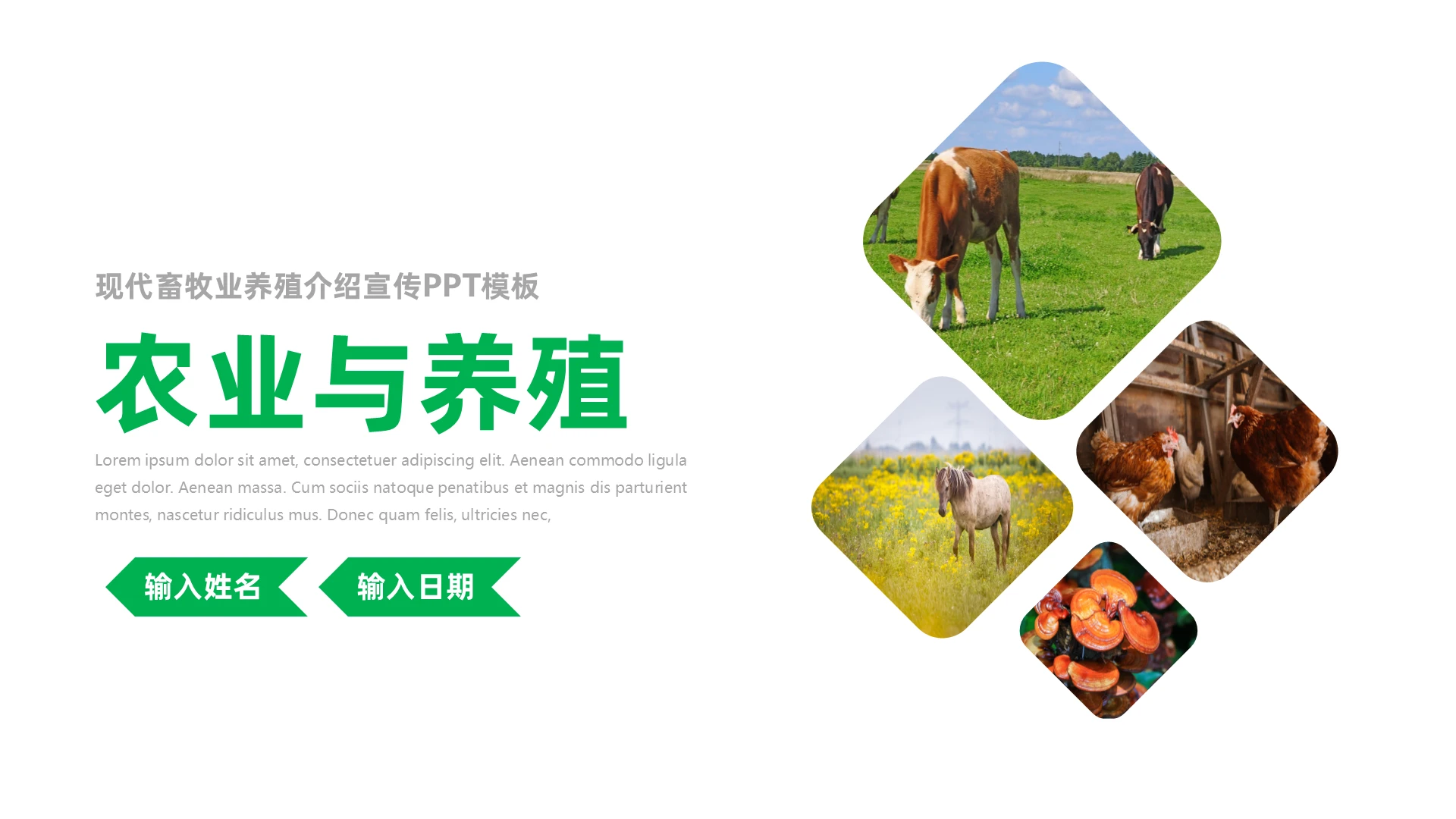 绿色简约风农业与养殖市场分析PPT模板农业畜牧业