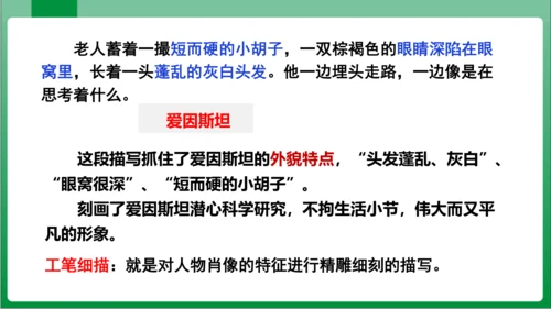 七年级上册第三单元写作 写人要抓住特点（课件）【2023秋人教七上语文高效实用备课】(共44张PPT