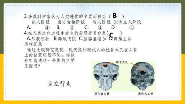 人类的起源和进化生物课通用PPT课件