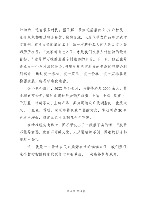 全国脱贫攻坚奖个人先进事迹材料.docx