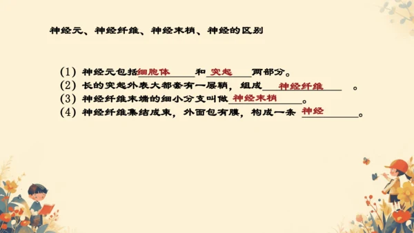 人教版（新课程标准）七年级下册4.6.2  神经系统的组成课件(共20张PPT)