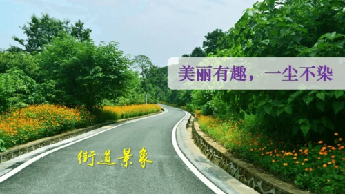 19.《海滨小城》课件