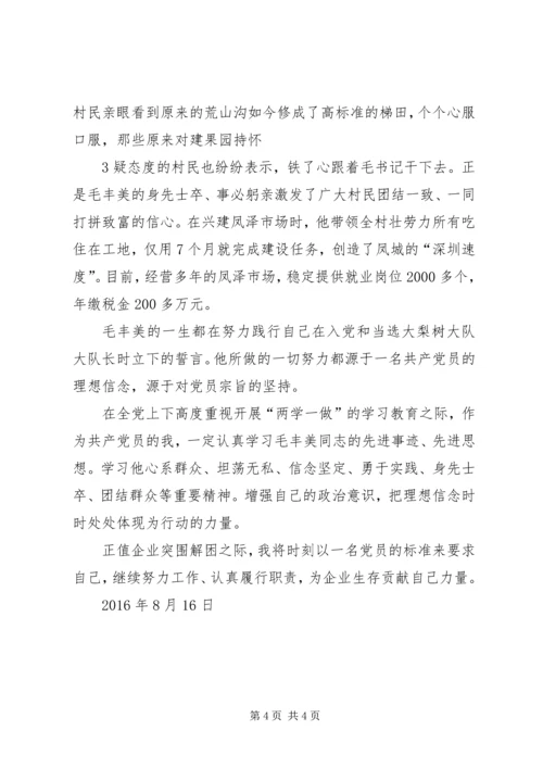 学习毛丰美同志先进事迹材料心得体会[推荐] (5).docx