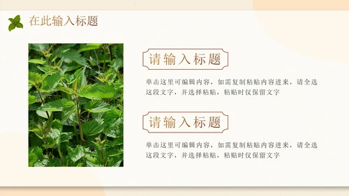 传统中国风中医中药养生主题PPT模板