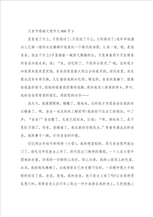 父亲节感谢父爱作文800字10篇