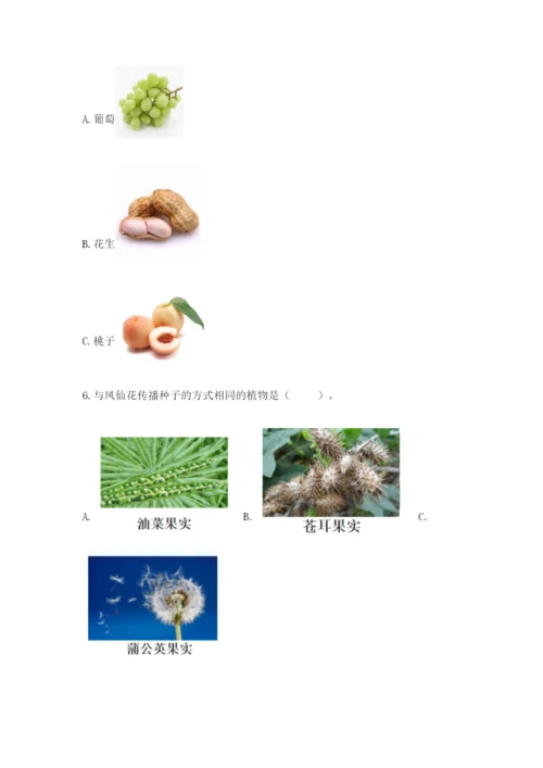 教科版四年级下册科学第一单元《植物的生长变化》测试卷精品加答案.docx