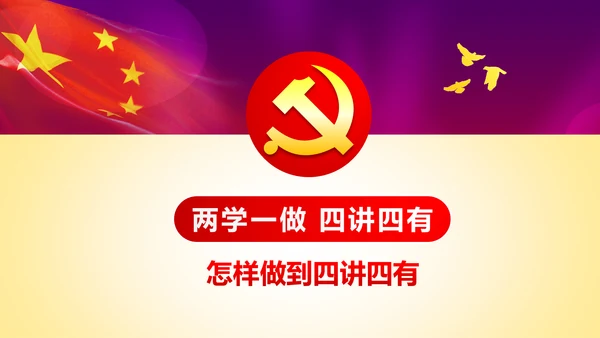 践行四讲四有争做合格党员专题讲座PPT