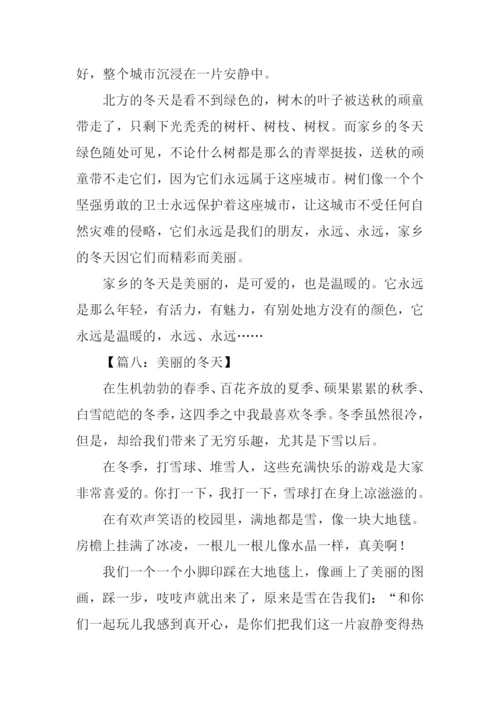 关于冬天的作文300字.docx