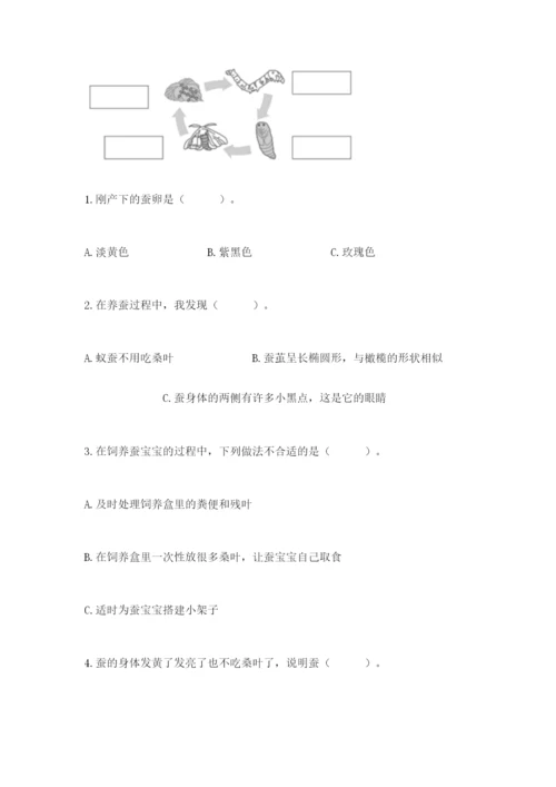 教科版小学科学三年级下册 期末测试卷（含答案）.docx