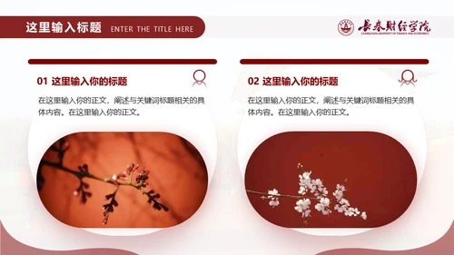 长春财经学院，博学厚德自强不息通用PPT模板