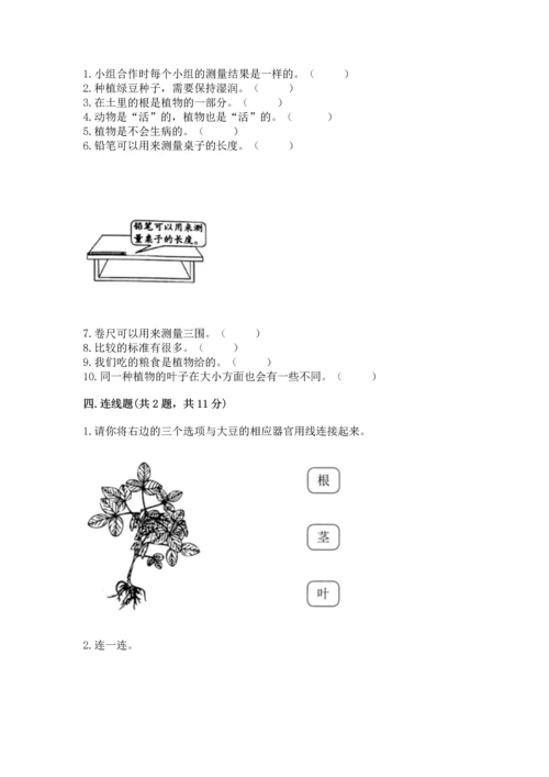 教科版一年级上册科学期末测试卷及下载答案.docx