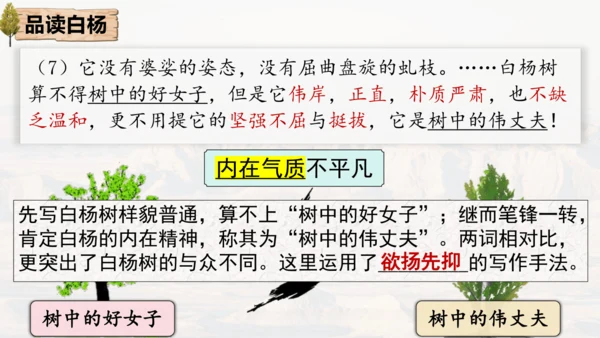 15 白杨礼赞 课件