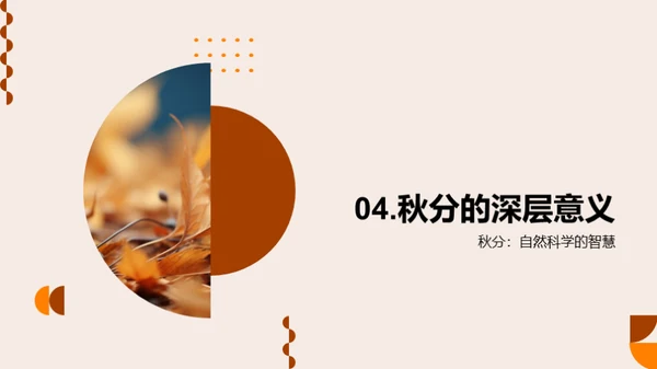 秋分的自然奥秘