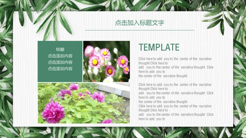 绿色环保慈善公益通用PPT模板