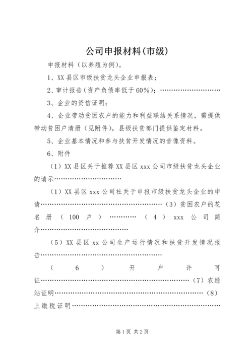 公司申报材料(市级).docx