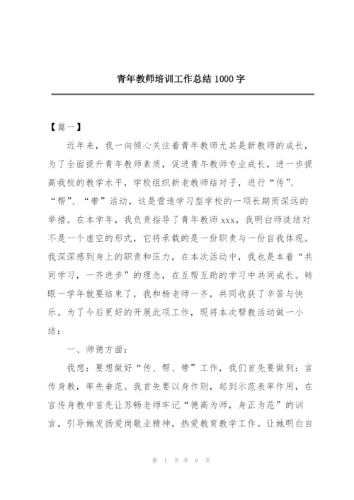 青年教师培训工作总结1000字.docx