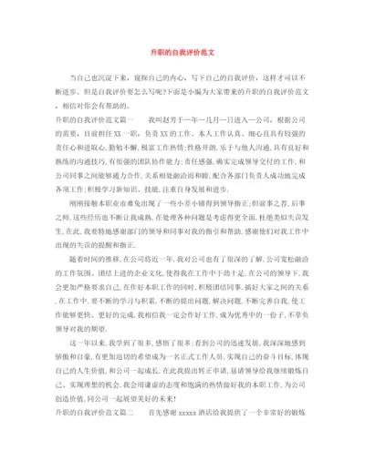 精编之升职的自我评价范文.docx