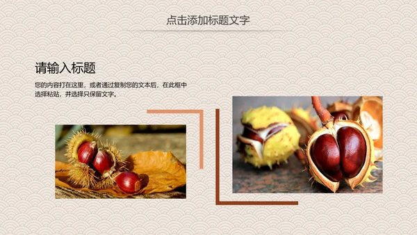 营养美食美味板栗种植宣传动态PPT模板