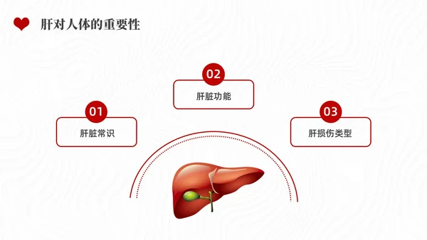 红色水彩简约插画全国爱肝日企业培训PPT课件