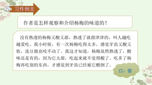 第五单元习作例文我爱故乡的杨梅