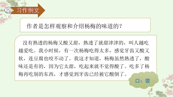 第五单元习作例文我爱故乡的杨梅