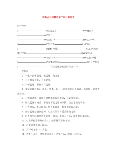 精编之财务会计核算改革工作计划范文.docx