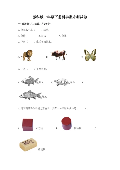 教科版一年级下册科学期末测试卷含答案【巩固】.docx