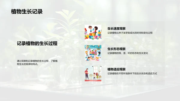 探秘植物生长