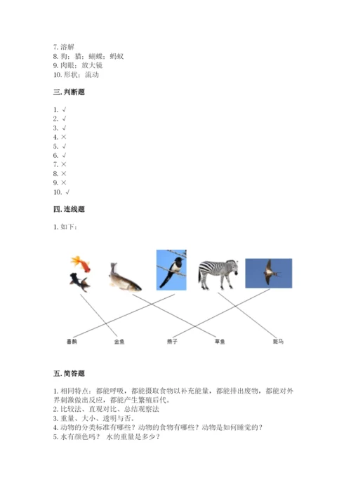 教科版一年级下册科学期末测试卷及参考答案（综合卷）.docx