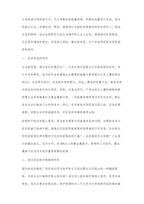 废污泥的综合利用.docx