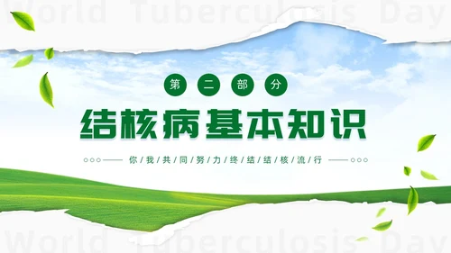 绿色简约世界防治结核病日你我共同努力终结结核流行PPT课件