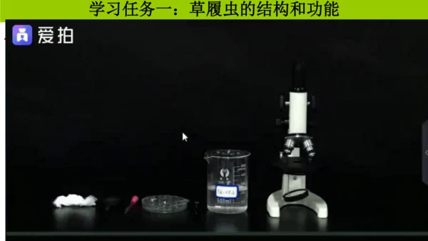 人教版生物七年级上册1.3.4 单细胞生物 教学课件（共22张ppt）+视频素材