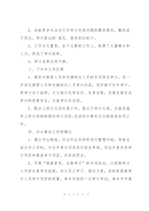 审计个人工作总结800字范文.docx