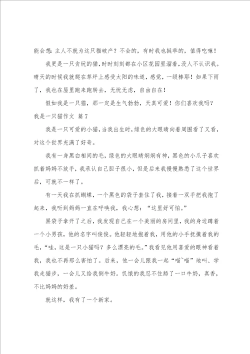 精选我是一只猫作文九篇