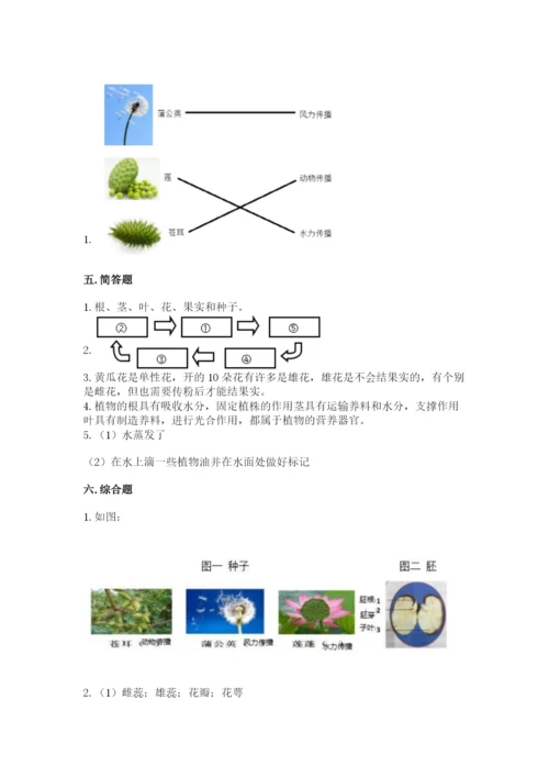 科学四年级下册第一单元《植物的生长变化》测试卷【精品】.docx