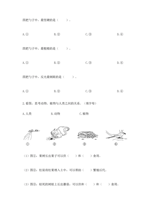 教科版二年级上册科学期末测试卷精品【夺冠系列】.docx