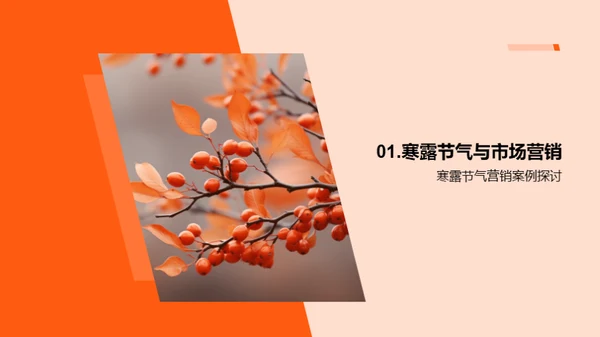 寒露文化营销策略