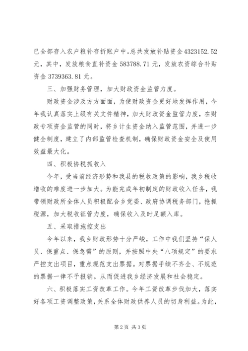 乡镇财政所年度工作总结_3.docx