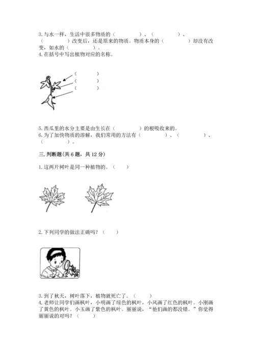 教科版科学一年级上册第一单元《植物》测试卷（综合题）word版.docx