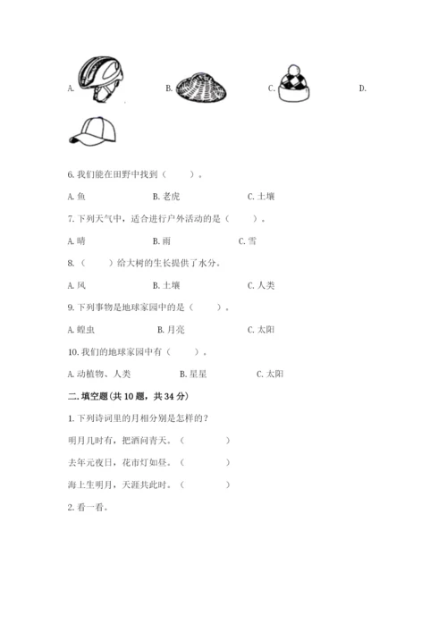 教科版科学二年级上册期末测试卷精品（名师系列）.docx