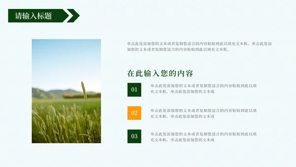 建设新时代美丽乡村PPT模板