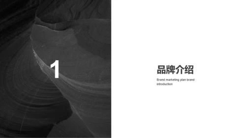 黑色简约时尚品牌营销方案PPT案例