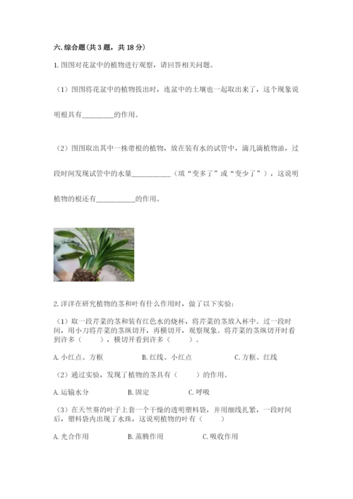 科学四年级下册第一单元植物的生长变化测试卷精编.docx