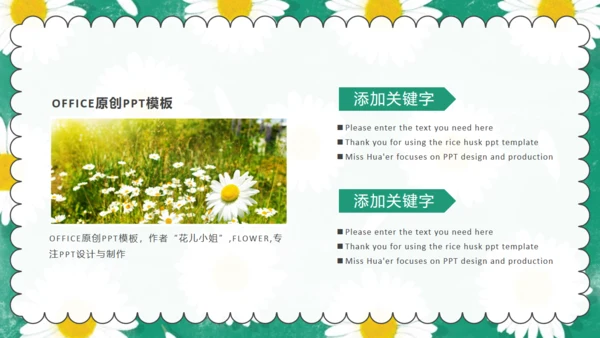 清新小雏菊教育培训小菊花通用PPT公开课件