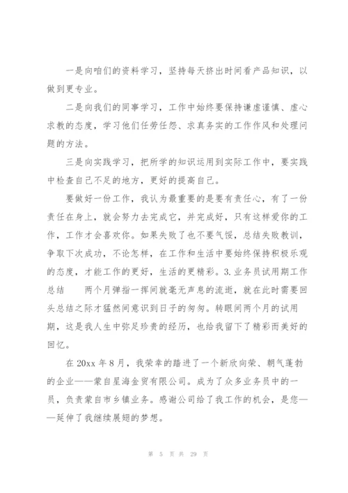 业务员试用期工作总结10篇.docx