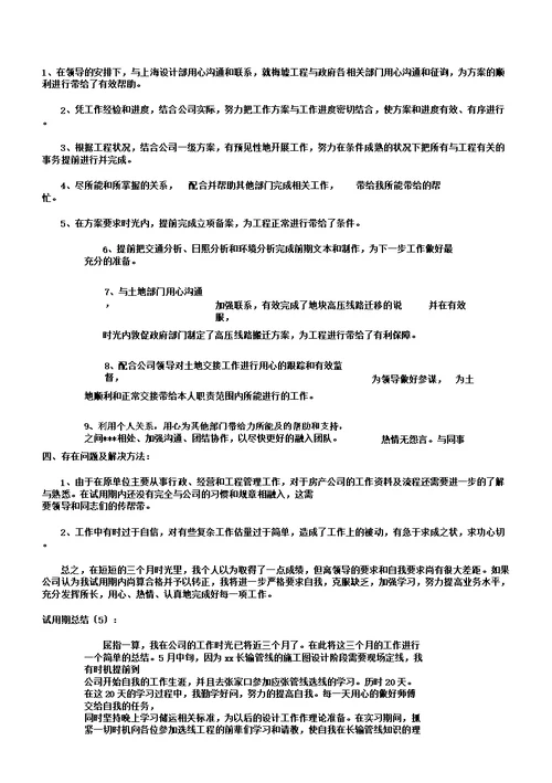 试用期总结计划10篇