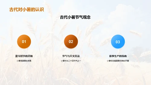 深度解析小暑节气