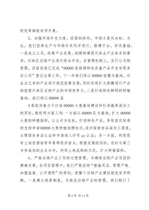 后续产业发展报告.docx