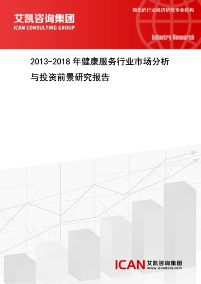 2013健康服务行业市场分析与投资前景研究报告.docx